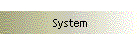 System