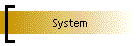 System